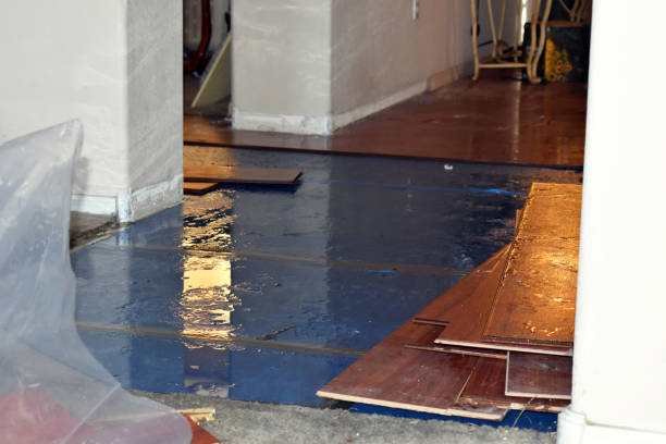 Professional Basement Flood Cleanup technician working in Bock, MN